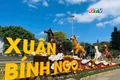 60s Gia Lai: Muôn màu Linh vật Xuân Bính Ngọ 2026