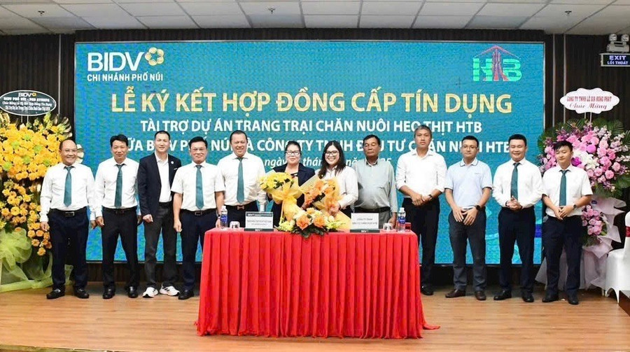 BIDV สาขา Pho Nui มุ่งมั่นที่จะให้สินเชื่อแก่โครงการเลี้ยงหมูของบริษัท HTB Livestock Investment Company Limited ภาพโดย: Lam Vo z6744053684501-4b5fa7a97d6ff95bfce14d6848cfa718.jpg