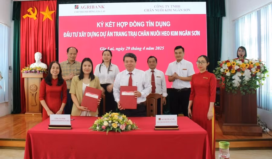 agribank-chi-nhanh-dong-gia-lai-ky-ket-tai-tro-tin-dung-du-an-chan-nuoi-heo-kim-ngan-son-advcc.jpg
