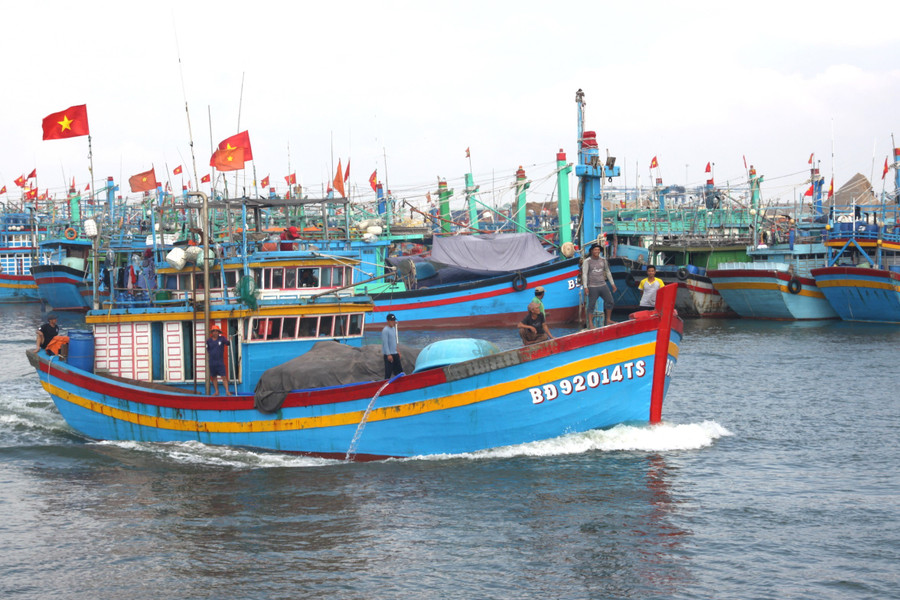 Hiện nay, khu vực neo đậu tàu cá tại Đề Gi chưa đảm bảo an toàn cho tàu cá của ngư dân trong mùa mưa bão. Ảnh: T.SỸ khu-vuc-neo-dau-tau-ca-tai-de-gi-hien-van-chua-dam-bao-an-toan-cho-tau-ca-cua-ngu-dan-trong-mua-mua-bao.jpg