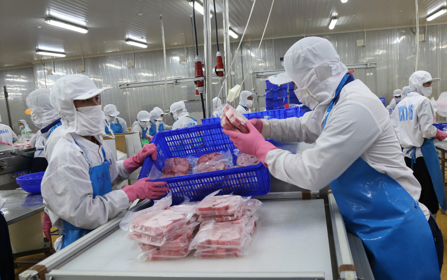 Các DN chế biến, xuất khẩu thủy sản có thêm cơ hội tiếp cận và vay vốn từ chương trình tín dụng đối với lĩnh vực lâm sản, thủy sản để đầu tư phát triển kinh doanh doanh. Ảnh: T.SỸ che-bien-xuat-khau-thuy-san.jpg