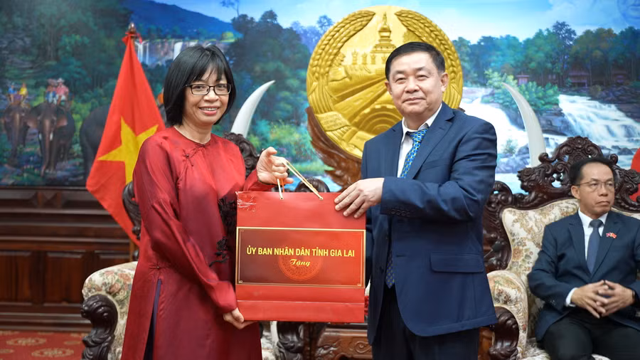 pho-chu-tich-ubnd-tinh-nguyen-thi-thanh-lich-trao-qua-luu-niem-cua-ubnd-tinh-gia-lai-cho-uy-ban-chinh-quyen-tinh-salavan.png