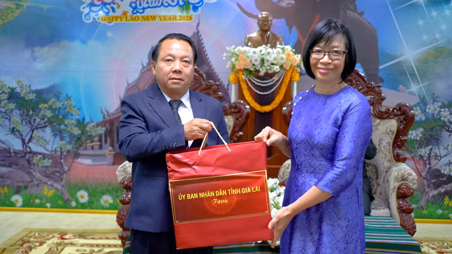 pho-chu-tich-ubnd-tinh-nguyen-thi-thanh-lich-tang-qua.jpg