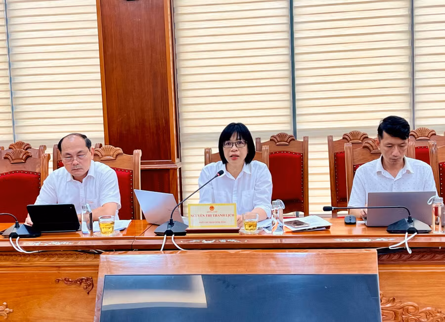 Phó Chủ tịch UBND tỉnh Nguyễn Thị Thanh Lịch (giữa) phát biểu tại buổi làm việc. Ảnh: Nhật Trường