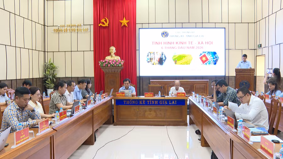 gia-lai-tang-truong-kinh-te-6-thang-nam-2026-dat-821.png