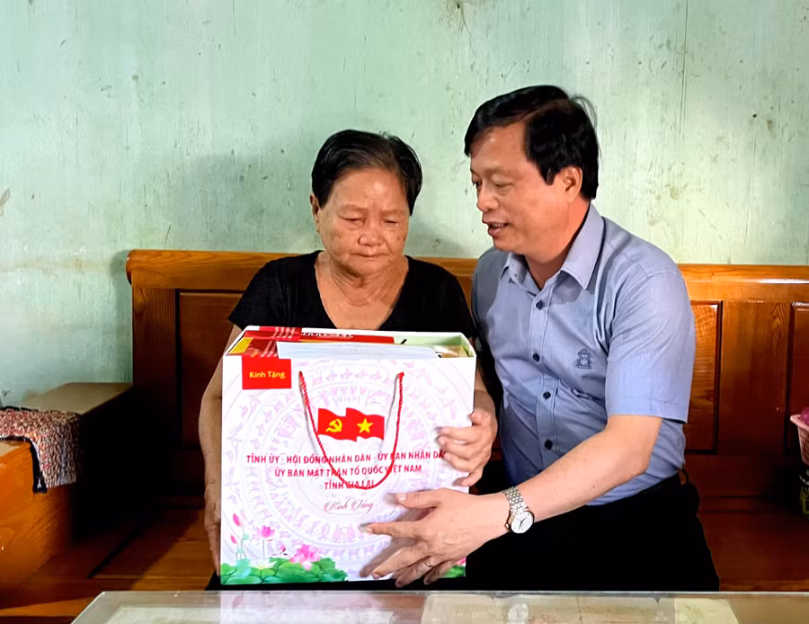 pho-chu-tich-thuong-truc-ubnd-tinh-nguyen-tuan-thanh-tang-qua-thuong-binh-nguyen-thi-lan-xa-binh-duong.jpg