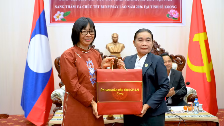 pho-chu-tich-ubnd-tinh-nguyen-thi-thanh-lich-tang-qua.png