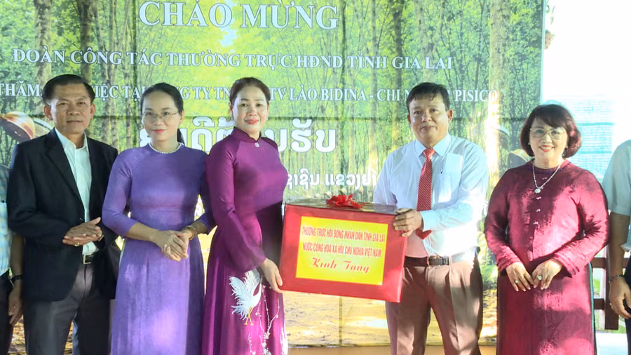 pho-chu-tich-hdnd-tinh-huynh-thuy-van-tham-cong-ty-lao-bidina.jpg