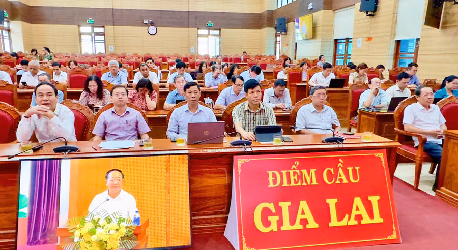 cac-dai-bieu-tham-du-hoi-nghi-tai-diem-cau-tinh-gia-lai.jpg