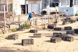 Toàn bộ các cơ sở sơ chế mực xà tại thôn An Quang Đông và An Quang Tây (xã Đề Gi) đã đồng loạt chấp hành ngưng hoạt động để giải quyết dứt điểm tình trạng ô nhiễm.