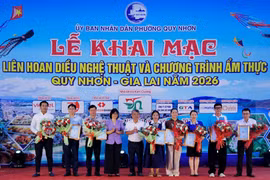 350 con diều nghệ thuật hội tụ trên bầu trời Quy Nhơn