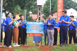 “Mùa hè xanh”: Sinh viên góp sức, hướng về cộng đồng