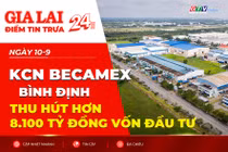 Điểm tin trưa: KCN Becamex Bình Định thu hút hơn 8.100 tỷ đồng vốn đầu tư