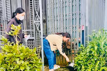 Người dân xã Biển Hồ vệ sinh môi trường, diệt lăng quăng/bọ gậy phòng, chống SXH. Ảnh: Như Nguyện