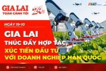 Toàn cảnh Gia Lai 24h: Thúc đẩy hợp tác, xúc tiến đầu tư với doanh nghiệp Hàn Quốc