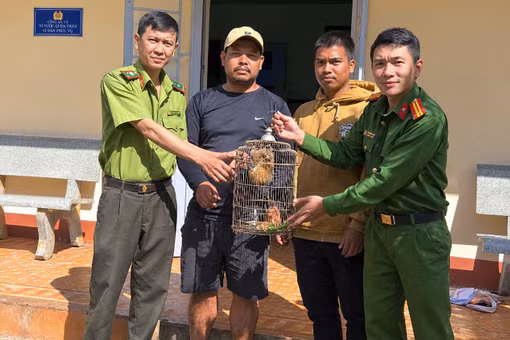Phát hiện cu li nhỏ đi lạc vào nhà, người dân mang đến Công an giao nộp 