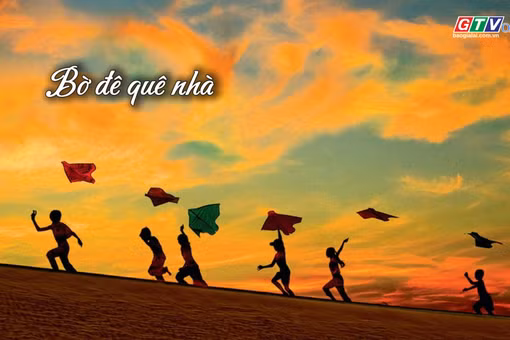 Ngăn ký ức: Bờ đê quê nhà