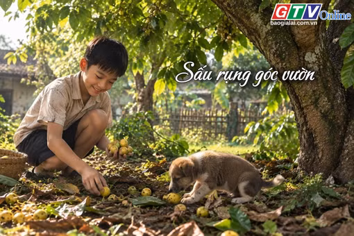 Ngăn ký ức: Sấu rụng góc vườn