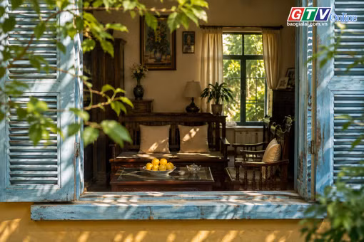 Ngăn ký ức: Mùi thị chín trong chiều tháng Tám