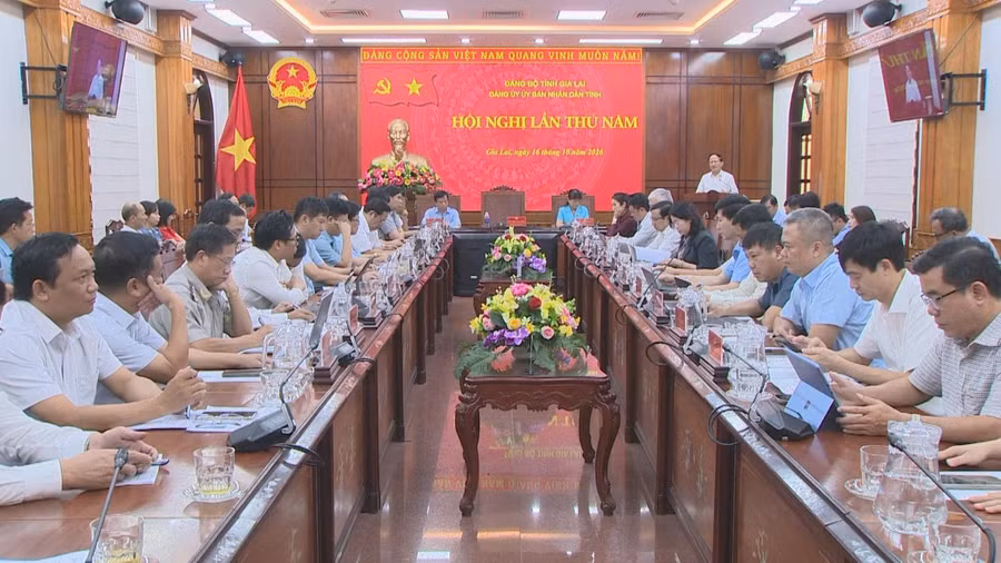 toan-canh-hoi-nghi.jpg