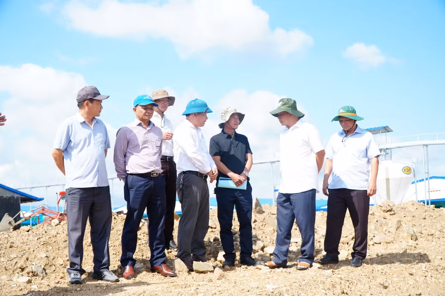Đoàn công tác của UBND tỉnh kiểm tra tiến độ triển khai Trang trại chăn nuôi heo CF Gia Lai tại xã Kông Chro. Ảnh: X.Đ