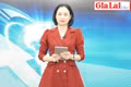 Gia Lai 48h: An ninh trật tự Gia Lai dịp Tết được giữ vững ổn định