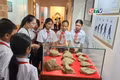 Bảo vật quốc gia Sưu tập công cụ sơ kỳ Đá cũ An Khê: Ghi dấu mốc mở đầu của lịch sử Việt Nam 