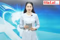 Gia Lai 48h: Triệt phá đường dây đưa người vượt biên