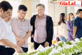 Đảng ủy Khối các Cơ quan và Doanh nghiệp tỉnh khởi động chương trình 'Đồng hành cùng Doanh nghiệp'