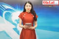 Gia Lai 48h: Thu hút đầu tư: Lựa chọn chiến lược hợp lý 