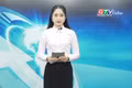 Gia Lai 24h: Nông dân Chư Prông chặt bỏ cây điều vì mất mùa, mất giá 