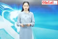 Gia Lai 48h: “Đột kích” ổ xóc đĩa liên tỉnh, bắt giữ 38 đối tượng