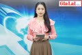 Gia Lai 24h: Nhiều đơn vị y tế công lập Gia Lai khó khăn trong tự chủ tài chính