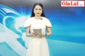 Gia Lai 24h: San ủi trái phép đất rừng để làm đường vào khu sản xuất