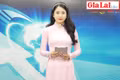 Gia Lai 48h: Đẩy nhanh phát triển kinh tế-xã hội gắn với triển khai có hiệu quả Nghị quyết 23 của Bộ Chính trị