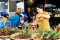 Tiểu thương lưu luyến chia tay chợ đêm Pleiku