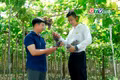 Trải nghiệm mô hình du lịch nông nghiệp