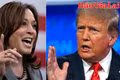 Bà Harris dẫn trước ông Trump ở 3 bang chiến trường