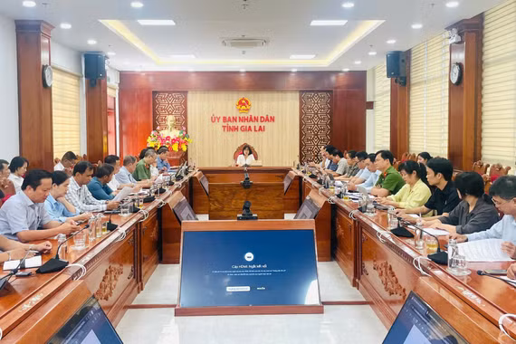Họp rà soát công tác chuẩn bị Festival Cồng chiêng - Tuần lễ Hoa Dã quỳ - Chư Đang Ya năm 2026