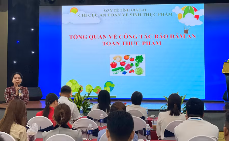 Báo cáo viên của lớp tập huấn được trang bị kiến thức về bảo đảm ATTP cho đội ngũ đầu bếp tại các khách sạn, nhà hàng và quán ăn trên địa bàn tỉnh. Ảnh: Hải Yến