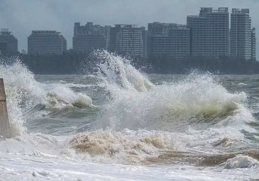 bao-1.jpg