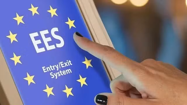 ees.jpg