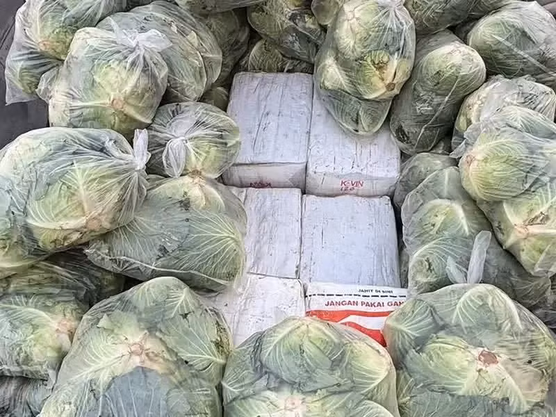 ma-tuy.jpg