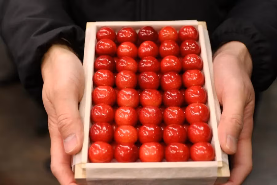 cherry-1.jpg