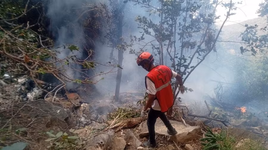 2026-08-19t162830z-428945308-rc2r1naychgd-rtrmadp-3-kenya-helicopter-crash-tourism.jpg