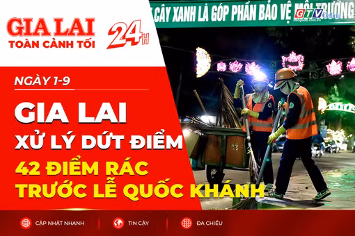 Toàn cảnh Gia Lai 24h: Xử lý dứt điểm 42 điểm rác trước lễ Quốc khánh