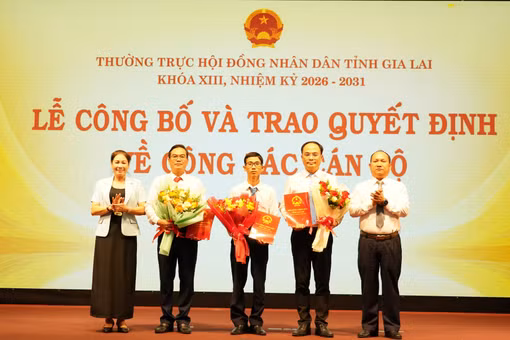 Tiếp nhận, bổ nhiệm 3 Phó Chánh Văn phòng Đoàn ĐBQH và HĐND tỉnh