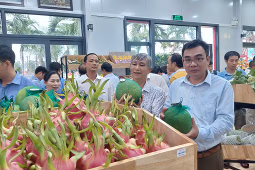 Gia Lai đẩy nhanh cấp mã số vùng trồng, cơ sở đóng gói