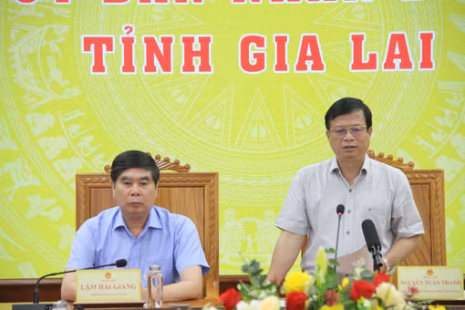 Phó Chủ tịch Thường trực UBND tỉnh Gia Lai phát biểu kết luận cuộc họp
