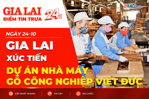 Điểm tin trưa: Gia Lai xúc tiến dự án nhà máy gỗ công nghiệp Việt Đức